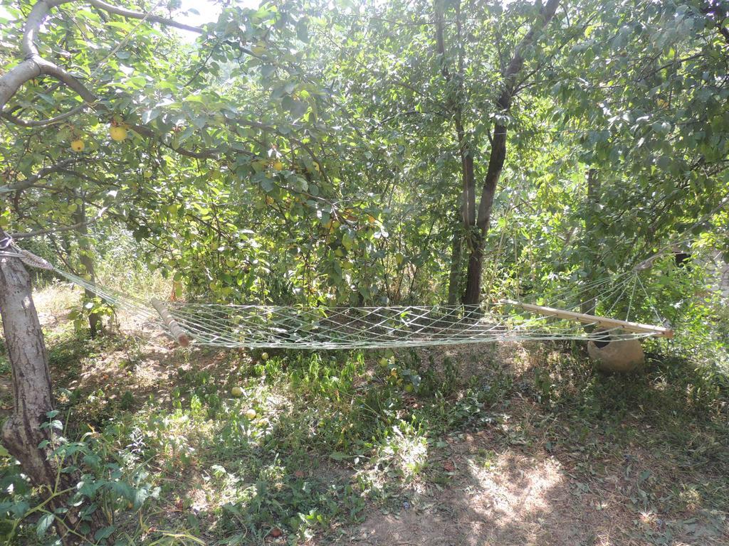 Guest House Chirina Sighnaghi Bagian luar foto